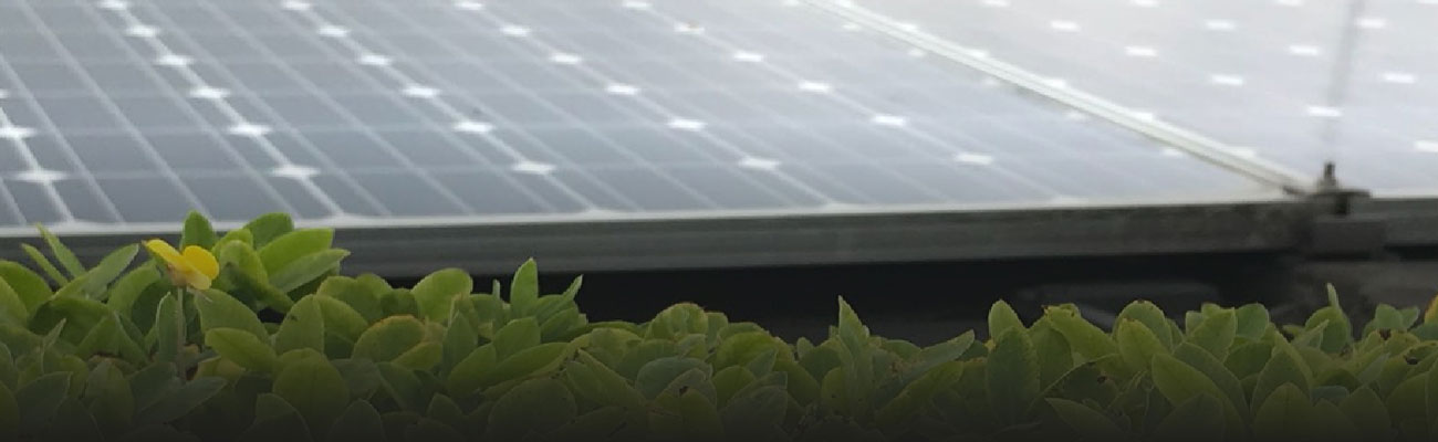 La ANLA dio luz verde a proyecto de generación de energía solar en el Cesar