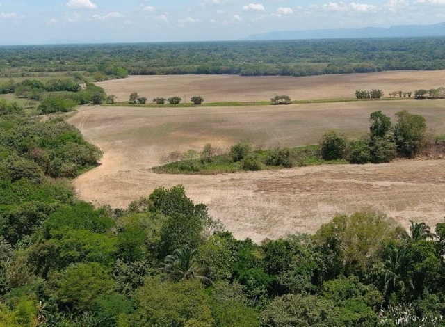 Panorámica del proyecto “Licencia Ambiental Título Minero IKK15371” Panorámica del proyecto “Licencia Ambiental Título Minero IKK15371”