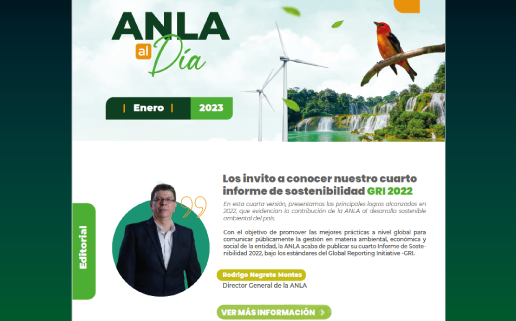 Ingrese a ver la edición número 31 del boletín ANLA al día regional Orinoquía