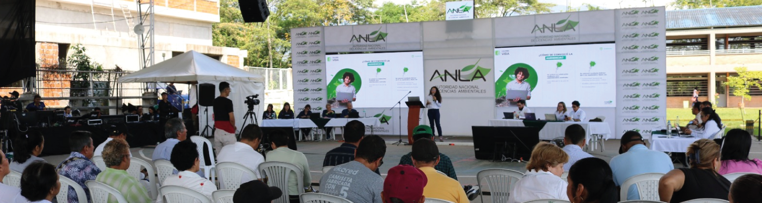 espacio de participación en Audiencia pública ambiental proyecto chichineme